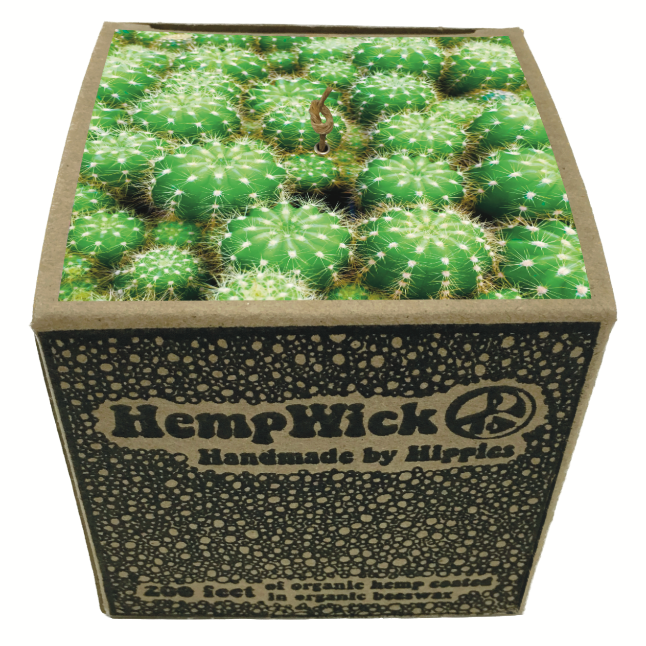 200ft BALL | FL CACTUS