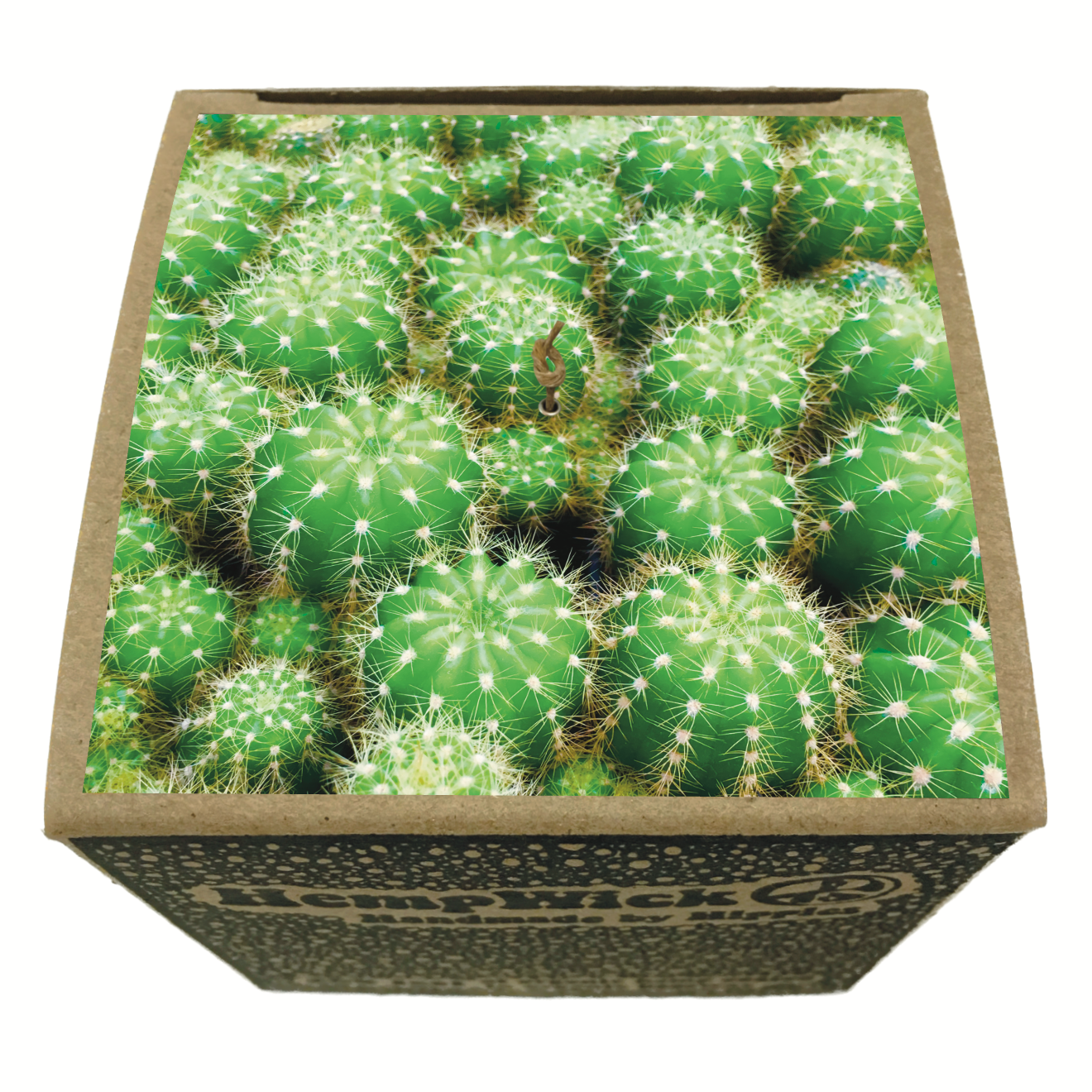 200ft BALL | FL CACTUS